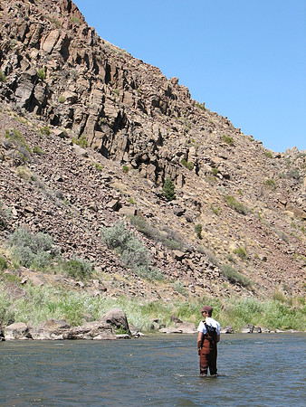 IMG_9525.JPG