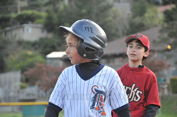 FGF_7092.JPG