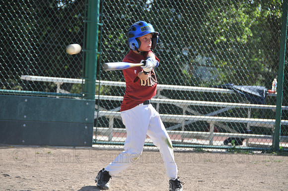 FGF_8333.JPG