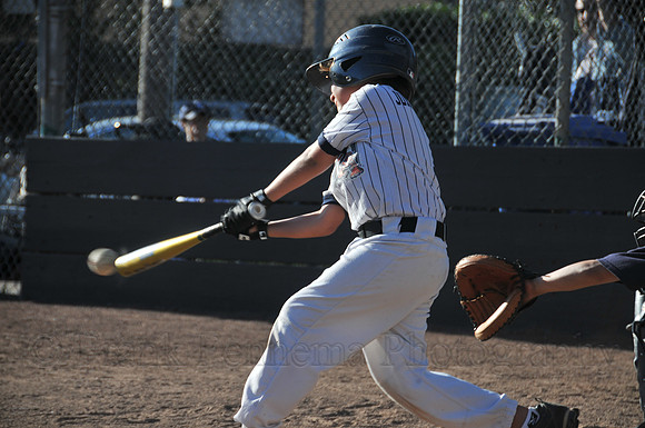 FGF_9511.JPG
