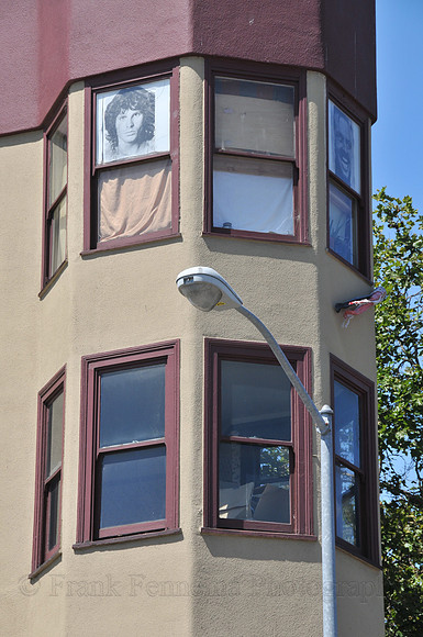 FGF_2481.JPG