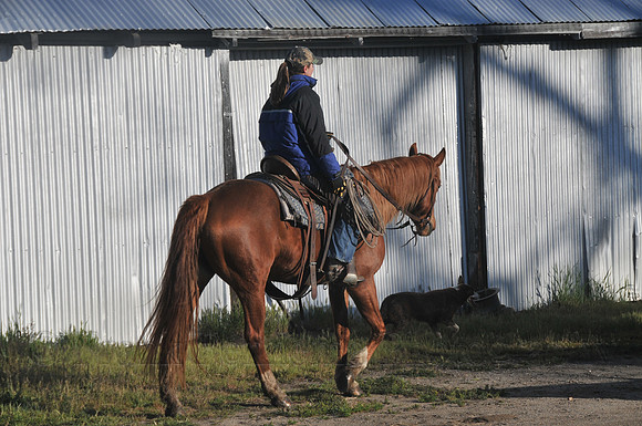 FGF_0062.JPG
