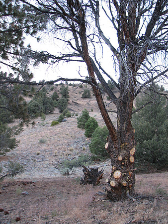 IMG_8775.JPG