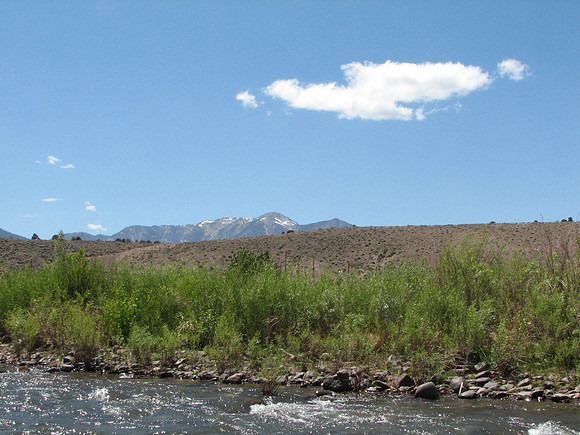 IMG_9418.JPG