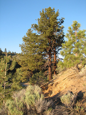IMG_8955.JPG