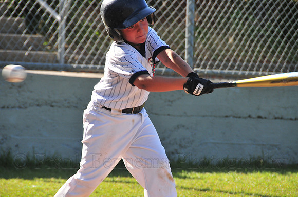 FGF_6513.JPG