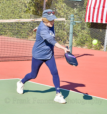 2025-01-25_11-18-46_FGF_9301