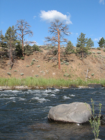 IMG_9152.JPG