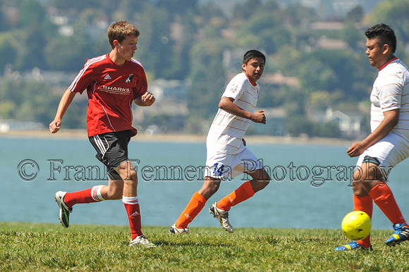 2014-09-06_11-14-37_FGF_3706