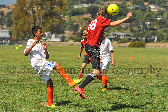 2014-09-06_11-10-13_FGF_3673