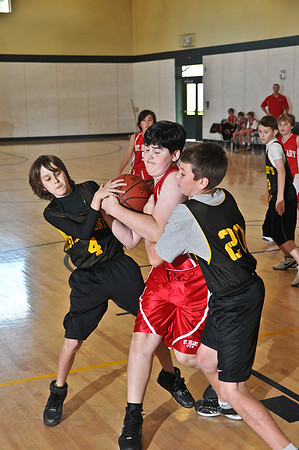 FGF_3991