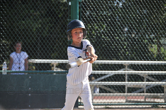 FGF_8392.JPG