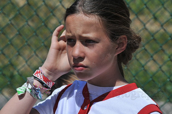 FGF_2014.JPG