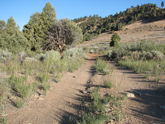 IMG_9049.JPG